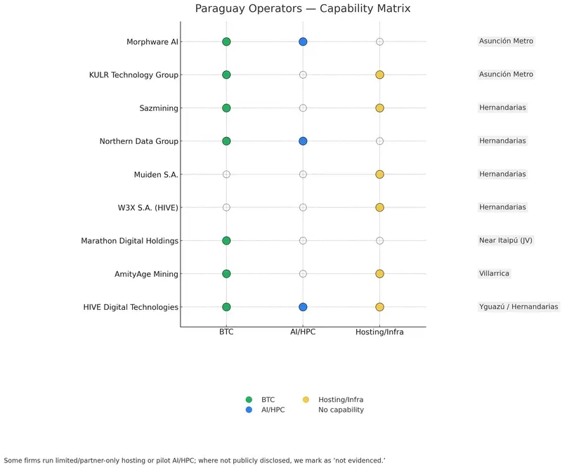 Dot matrix of binary capabilities by company: filled=capability present, hollow=not evidenced. Columns: BTC (green), AI/HPC (blue), Hosting/Infra (yellow). Shows HIVE (all three), Marathon (BTC only in Paraguay), Morphware (AI/HPC plus incidental BTC), Northern Data (BTC+AI/HPC), Sazmining (hosting+BTC), KULR (BTC+hosting), AmityAge (BTC+hosting), Muiden and W3X (hosting/infra). Footnote: limited/partner services may not be public.